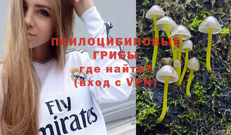 Псилоцибиновые грибы Magic Shrooms  Полтавская 