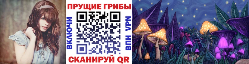 Галлюциногенные грибы GOLDEN TEACHER  где купить наркоту  Полтавская 